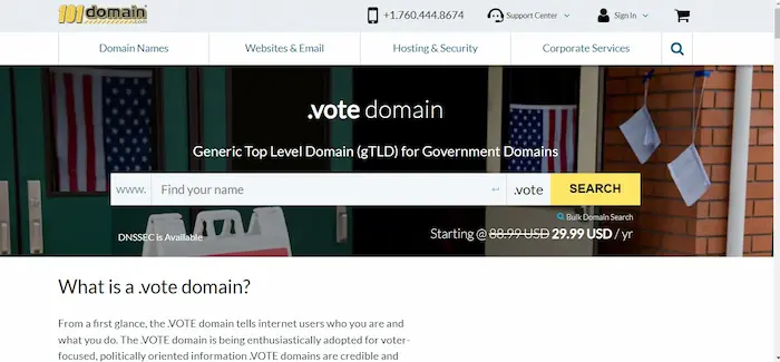 .vote domain